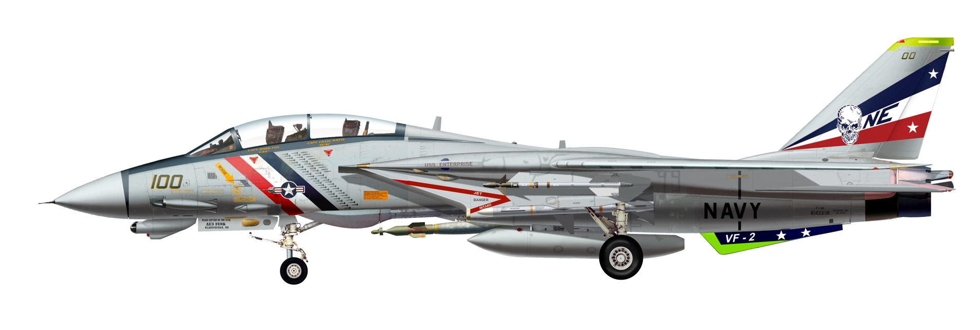 Grumman F-14 Tomcat.